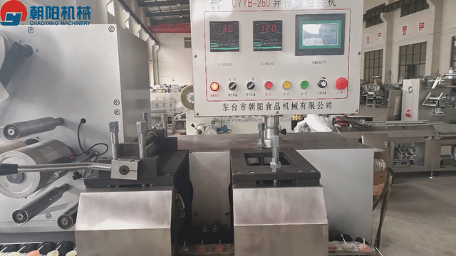 دستگاه بسته بندی آبنبات چوبی به شکل نامنظم CYYB-260
