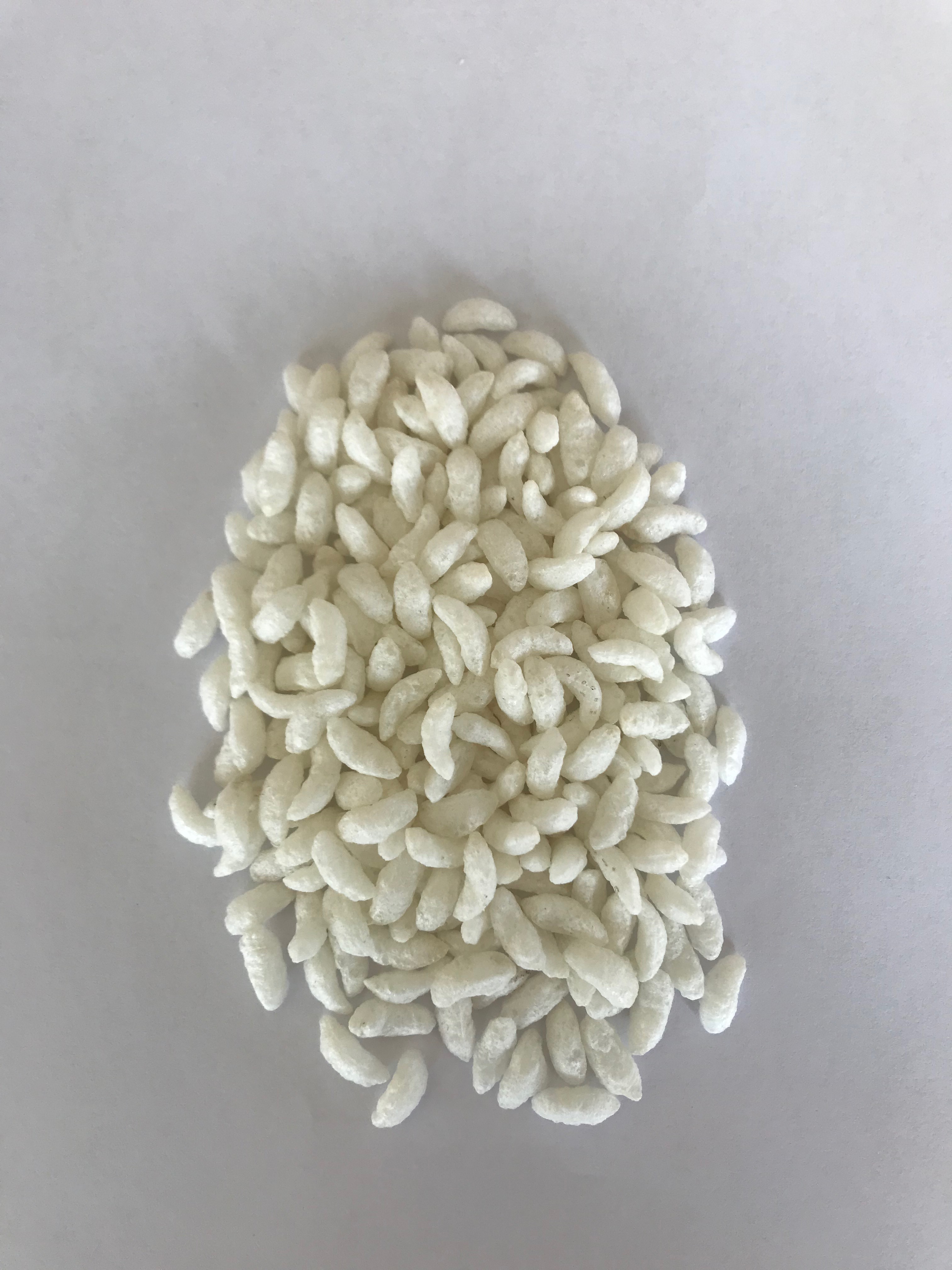CY-Extrusion Puffing Machine